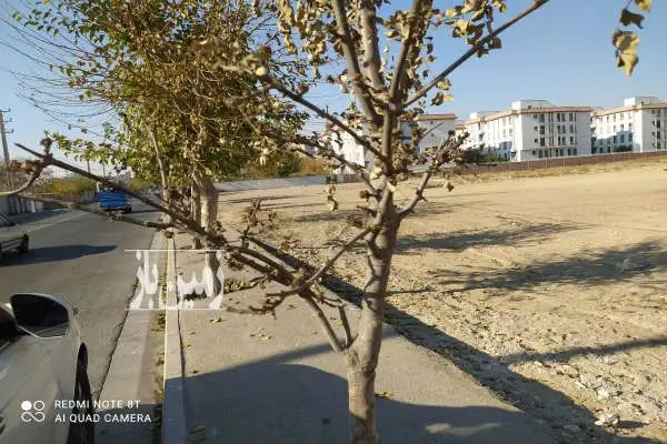 زمین مهرشهر خیابان سوم شرقی ۳۷۰۰ متر - تصویر 3