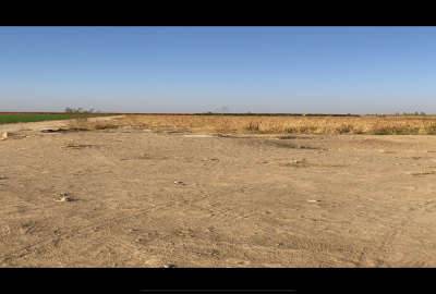 زمین کشاوزری بر جاده اصلی روستای محمودآباد ۹۲۵۸ متر