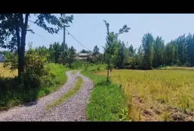 زمین مسکونی با تخفیف خوب نرسیده به دارسازی