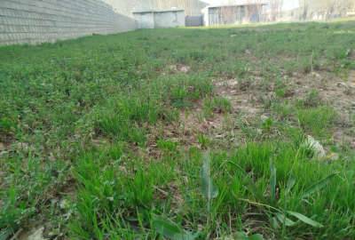 یک قطعه زمین شهر یاسوج روستای دشتروم