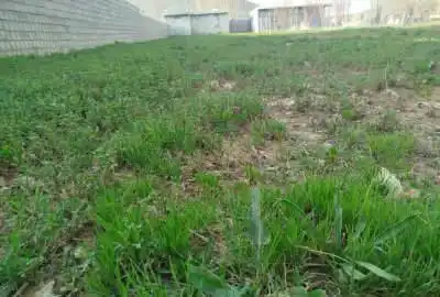 یک قطعه زمین شهر یاسوج روستای دشتروم