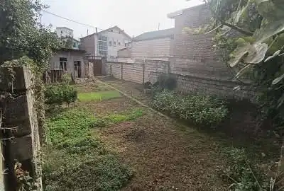 زمین به متراژ ۳۱۵ متر واقع در شهر بابل