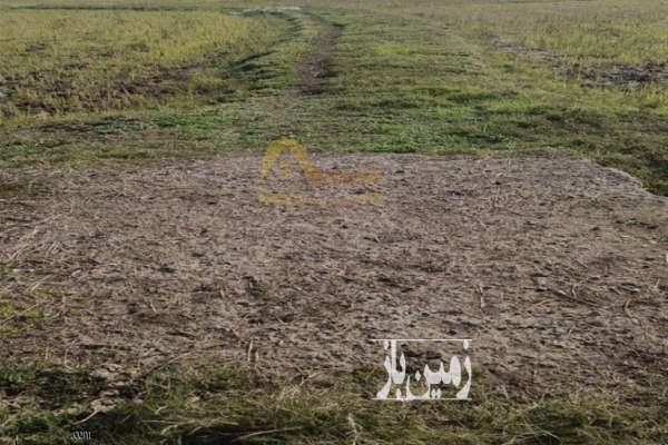 زمین کشاورزی با گل هستش با قیمت مناسب-2