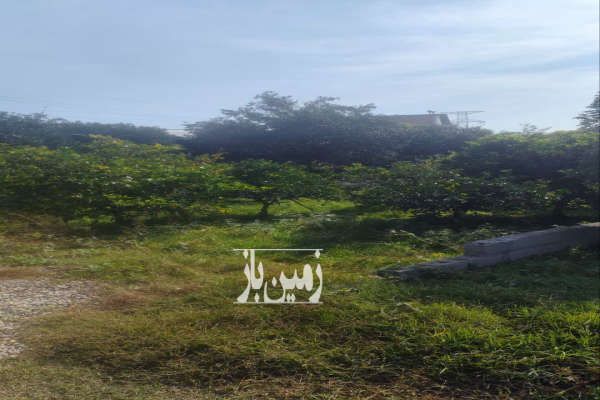 فروش زمین خوش قواره در خیابان کفشگر کلا-1