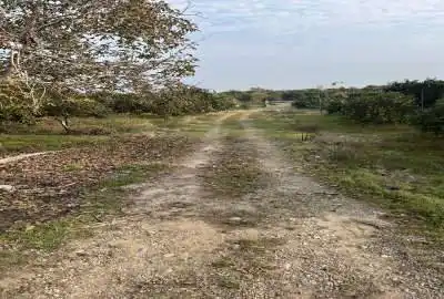 فروش زمین جاده بندارخیل روستای دولت اباد