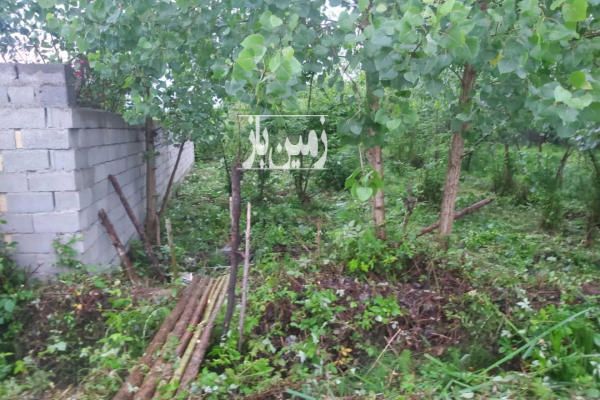 زمین مسکونی نسق دار در ۸ کیلومتری رشت روستای کفترود-4