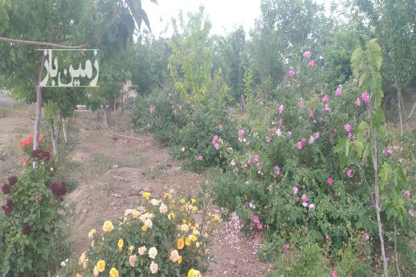 فروش و یا تهاتر باغ ۴ دیواری اسلامشهر روستای سیمون-1