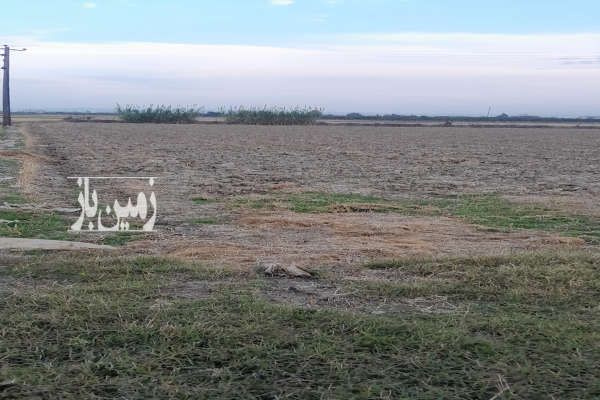 فروش زمین شالیراری درقائمشهر روستای زیبای رکابدارکلا-1