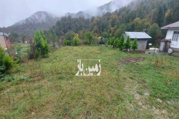 فروش قطعه سندی جنگلی ماسال ویوی رویایی جنگل در مه-1