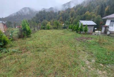 فروش قطعه سندی جنگلی ماسال ویوی رویایی جنگل در مه