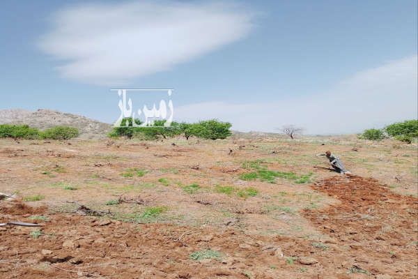 زمین برای فروش تخت زنگی جاده شیلات توقه گویز-4