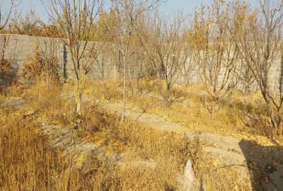 باغچه چهاردیواری ملارد روستای صالح اباد لوکیشن عالی