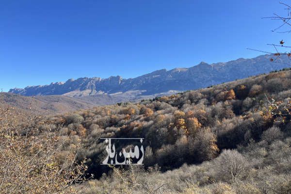 زمین مسکونی سوادکوه روستای ورپی ویوو عالی-1