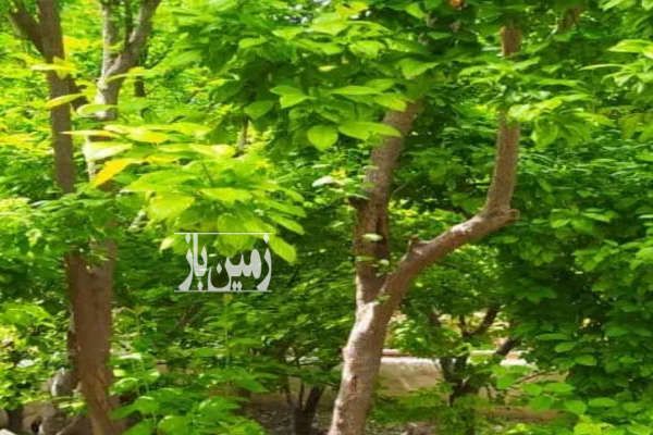 باغچه سند تک برگ ملارد روستای صالح اباد لوکیشن عالی-2