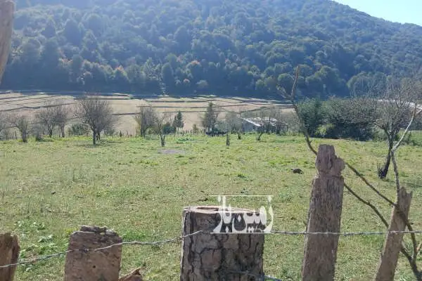 زمین سواد کوه زیراب روستای پاشاکلا - تصویر 2