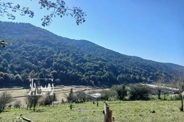 زمین سواد کوه زیراب روستای پاشاکلا - تصویر 3