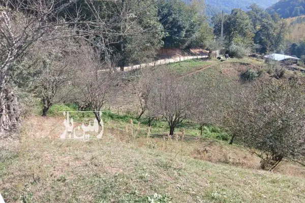 زمین سواد کوه زیراب روستای پاشاکلا - تصویر 4