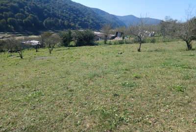 زمین سواد کوه زیراب روستای پاشاکلا