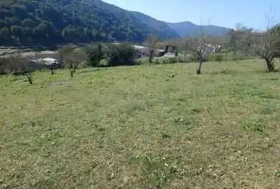 زمین سواد کوه زیراب روستای پاشاکلا