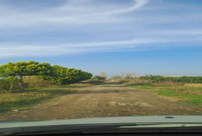 باغچه مرکبات با لوکیشن عالی قائمشهر قراخیل