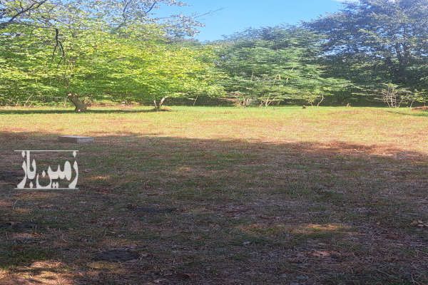 فروش زمین مسکونی با حدود سی متر بر اسفالت-1