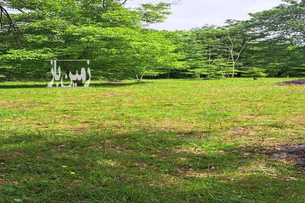 فروش زمین مسکونی با حدود سی متر بر اسفالت-3