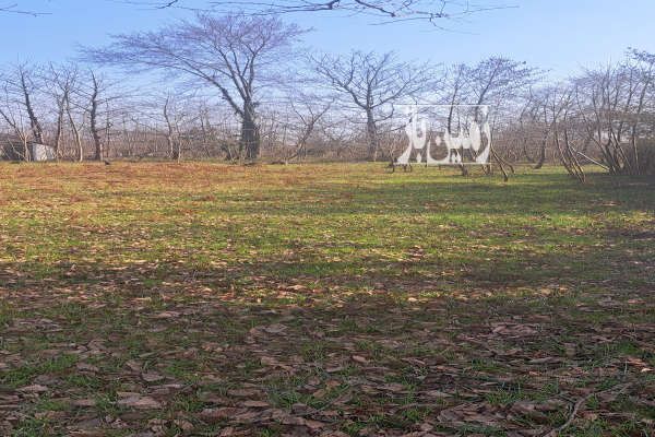 فروش زمین مسکونی با حدود سی متر بر اسفالت-4