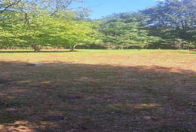 فروش زمین مسکونی با حدود سی متر بر اسفالت