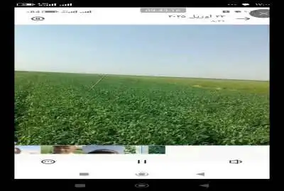 زمین کشاورزی دارای سه موتور اب ده ساعت و نیم