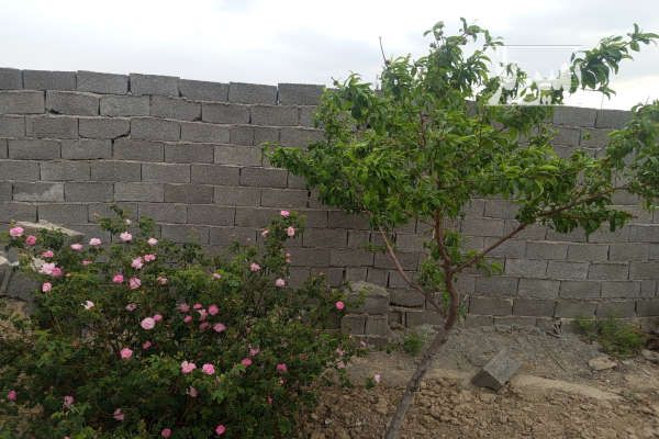 زمین باغی رباط کریم الارد مهستان-3