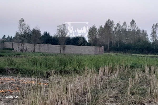 زمین مسکونی در گیلان فومن سرابستان-1