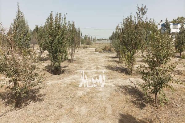 زمین در باغستان شفق در نسیم شهر ۷۲۰ متر-1