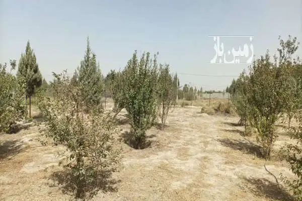 زمین در باغستان شفق در نسیم شهر ۷۲۰ متر - تصویر 2