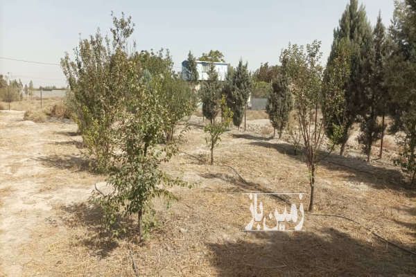 زمین در باغستان شفق در نسیم شهر ۷۲۰ متر-3