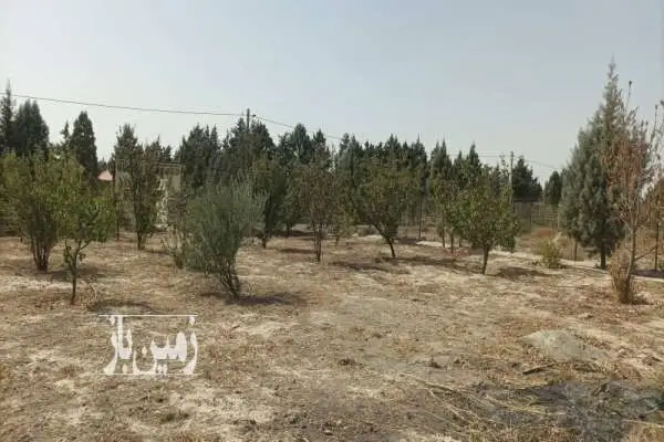 زمین در باغستان شفق در نسیم شهر ۷۲۰ متر - تصویر 4