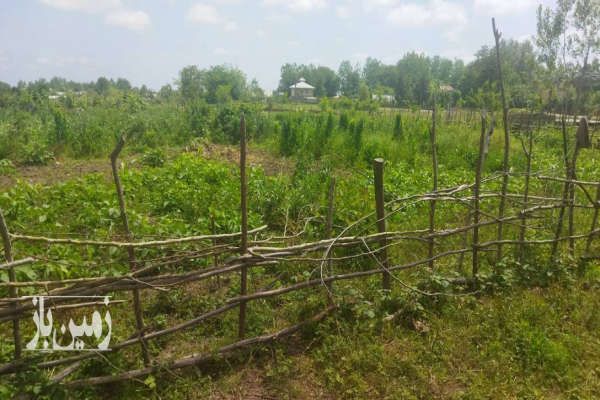 فروش زمین در استان گیلان شهرستان ماسال روستای وردوم-2