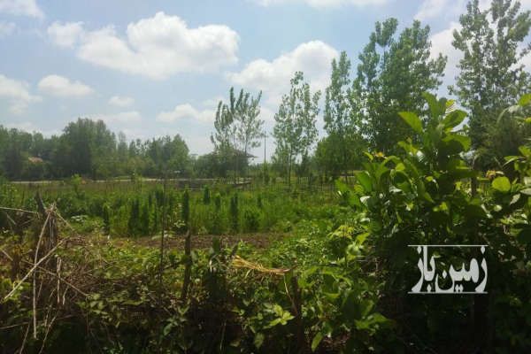 فروش زمین در استان گیلان شهرستان ماسال روستای وردوم-3