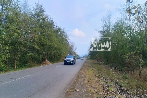 فروش زمین هکتار سنددار براصلی درشمال-3