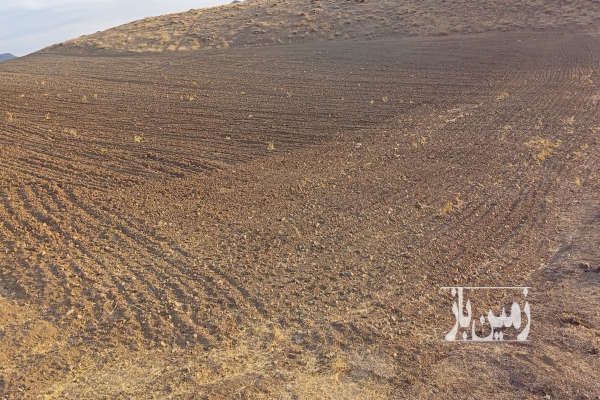 فروش زمین کشاورزی روستای باخرم-1