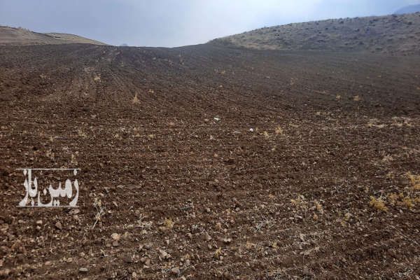 فروش زمین کشاورزی روستای باخرم-2