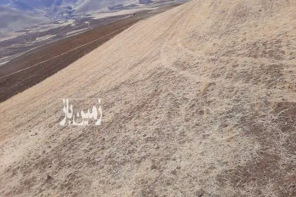 فروش زمین کشاورزی روستای باخرم - تصویر 3