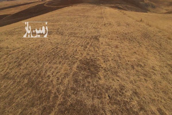 فروش زمین کشاورزی روستای باخرم-4