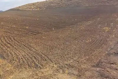 فروش زمین کشاورزی روستای باخرم
