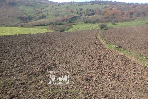 زمین مزروعی شش هزارمتر آستارا روستای حیران-1