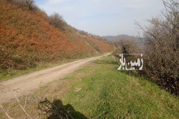 زمین مزروعی شش هزارمتر آستارا روستای حیران-3