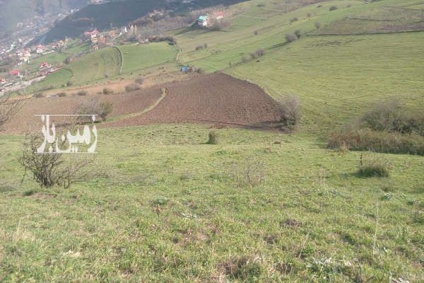 زمین مزروعی شش هزارمتر آستارا روستای حیران-4
