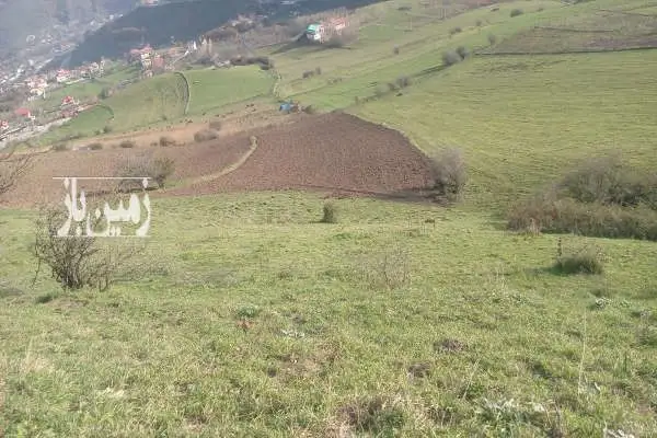 زمین مزروعی شش هزارمتر آستارا روستای حیران - تصویر 3