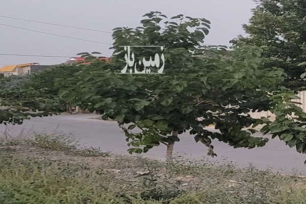 فروش ۳۰۸۰ متر زمین شاندیز کلاته ابراهیم-2