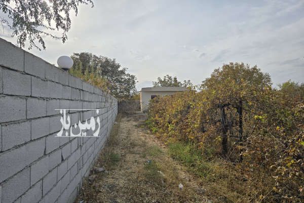باغ ۱۱۰۰ متری یا معاوضه با خودرو نرسیده به روستای ساریجالو-3