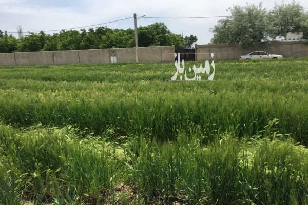 فروش زمین مسکونی سعیداباد نمکلان روستایحاجی بیک-1